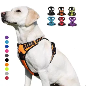Arnes para Perros Easy Walk No Pull