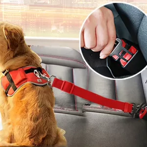 Arnés Cinturón de Seguridad para Perros en el Coche