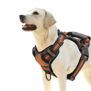Arnes Reflectante para Perros con Asa