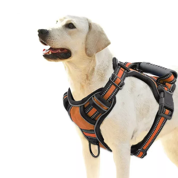 Arnes Reflectante para Perros con Asa