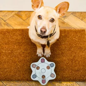 Juguete Interactivo de Rompecabezas para Perros