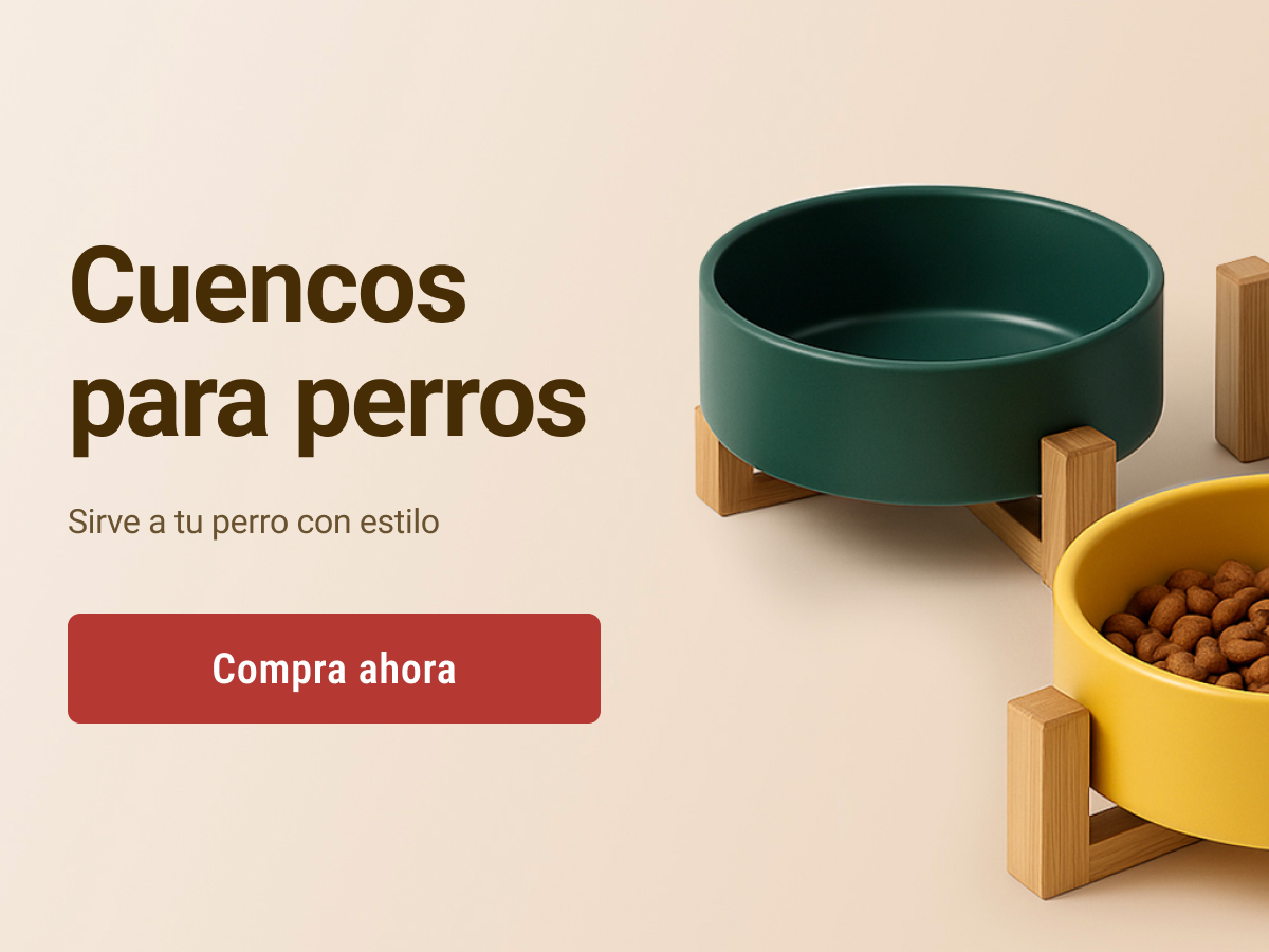 slide-1