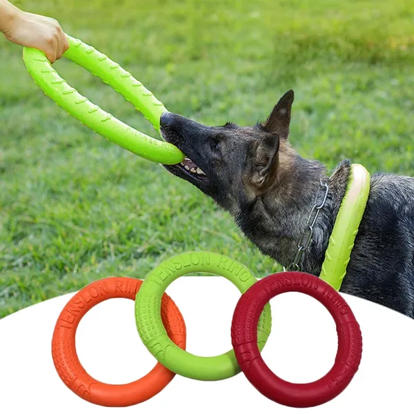 Juguete para Masticar y Entrenar para Perros, Anillo de Goma