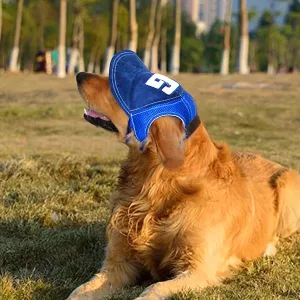 Gorra de Béisbol para Perro con Agujeros para las Orejas
