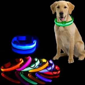Collar para Perros con Luz LED Recargable y Parpadeante