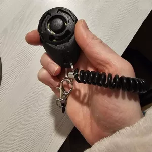 Recibido Clicker Portátil de Entrenamiento para Perros del cliente D****n.