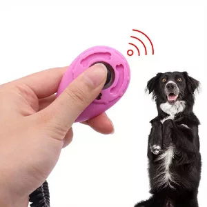 dog training clicker
