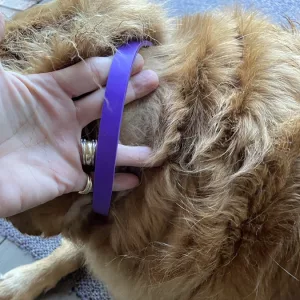 Recibido collar de feromonas calmantes para perros de 3 piezas del cliente H***e