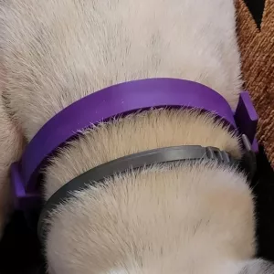 Recibido 3pcs Collar de Feromonas Calmantes para Perros de cliente K***n