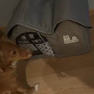 Recibido Casa de Perro con Aire Acondicionado para el Verano del cliente L***a