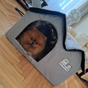 Casa de perro con aire acondicionado para el verano recibida del cliente M***a