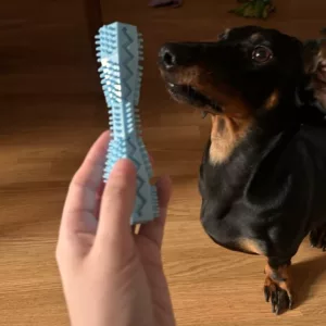 Recibido juguete masticable de limpieza dental para perro del cliente N****e.