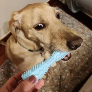 Recibido Juguete de Masticación para Limpieza de Dientes para Perro del cliente F****h.
