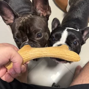 Recibido Palo de Masticar de Asta de Madera para Perros del cliente C***r.