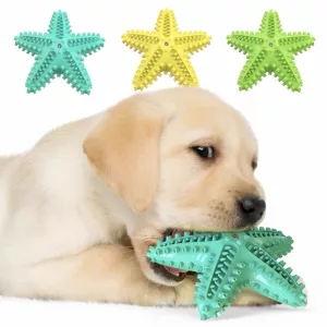 dog chew toy, dog toothbrush toy