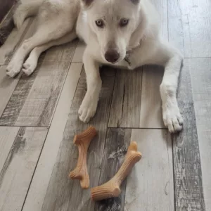 Recibido Palo de Masticar de Asta de Madera para Perros del cliente T***e.