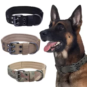 dog collar, tactical dog collar, military dog collar, adjustable dog collar