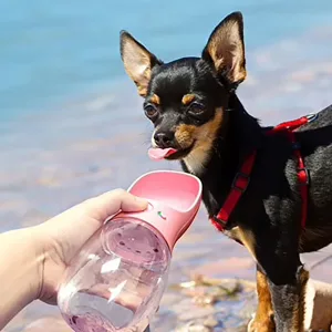 Botella de Agua Portátil para Perros