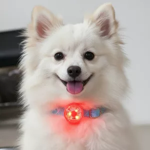 led collar pendant