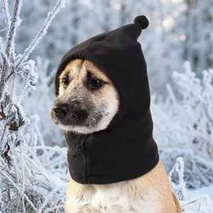 winter dog hat