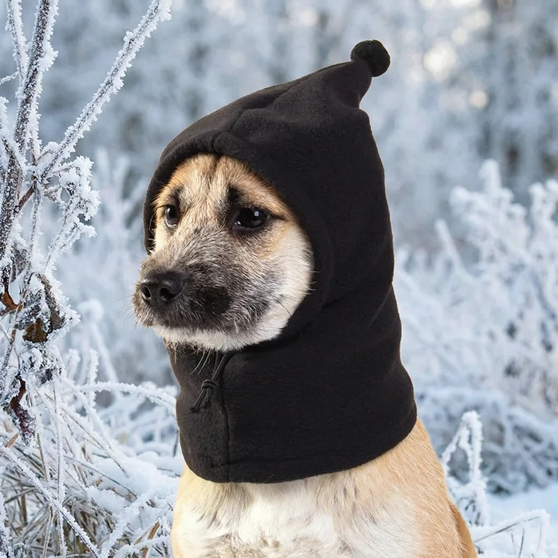 winter dog hat
